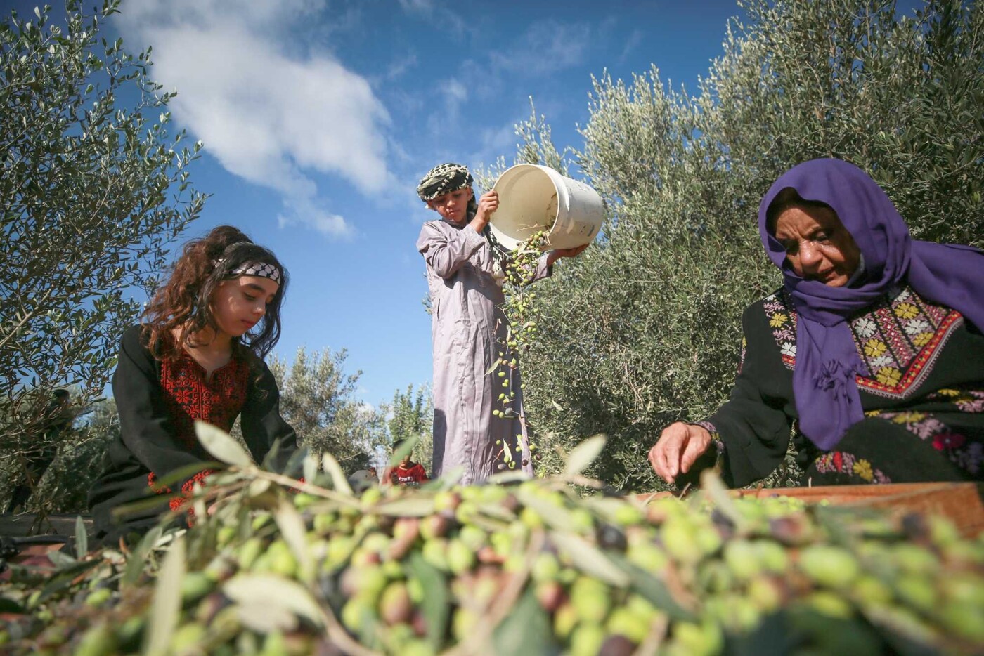 جمعية المرأة العاملة الفلسطينية للتنمية