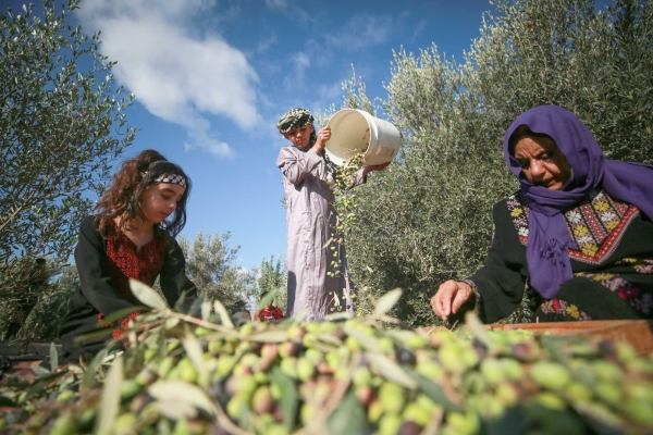 In Recognition of International Rural Women's Day- Towards International Protection of Palestinian Women